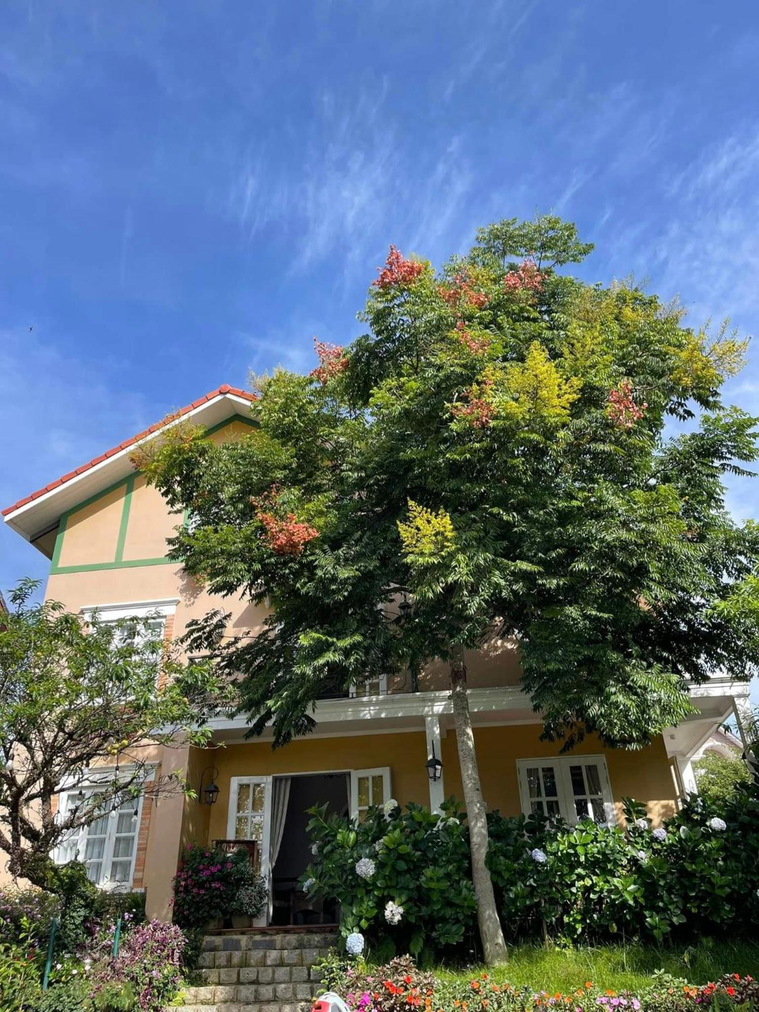 Bich Dao Boutique - 2* Da Lat