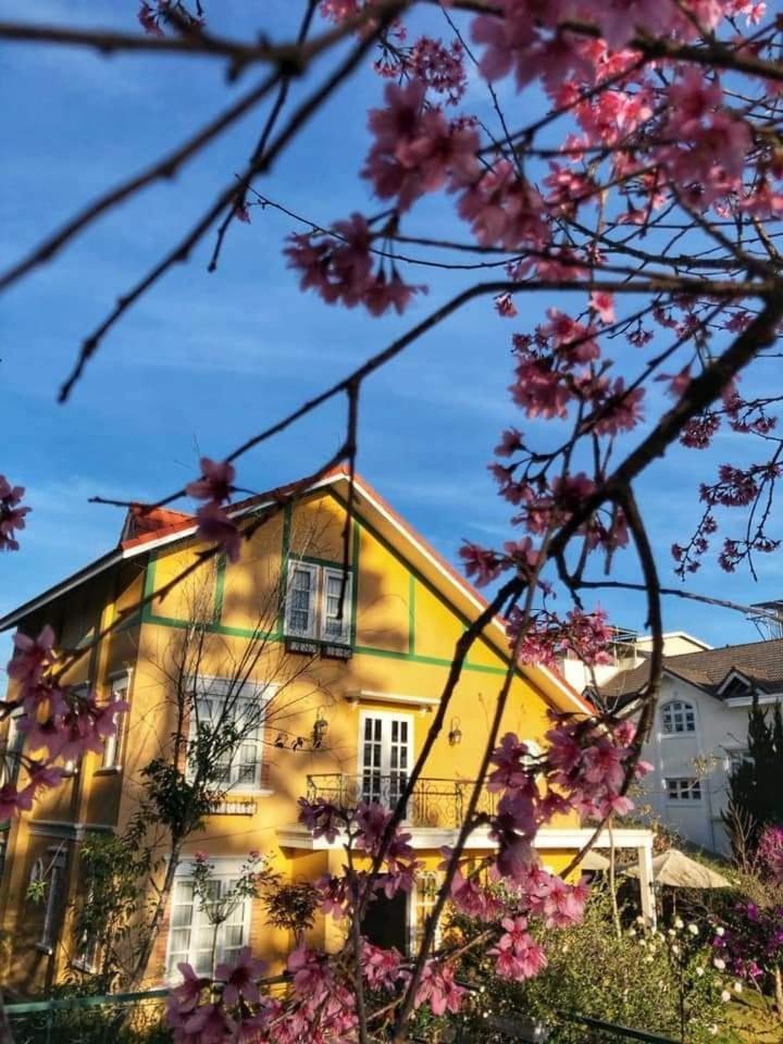 गेस्ट हाउस Bich Dao Boutique - Da Lat